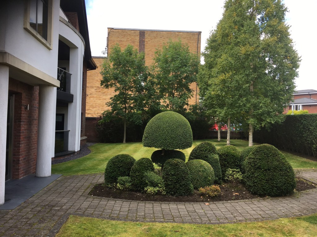 Example of garden maintenance work done in Whitefield